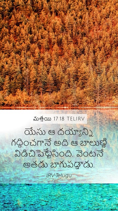 మత్తయి 17:18 TELIRV Bible Verse Image