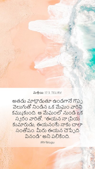 మత్తయి 17:5 TELIRV Bible Verse Image