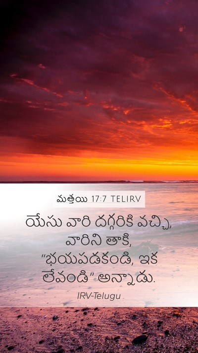మత్తయి 17:7 TELIRV Mobile Phone Wallpaper - యేసు వారి - Mobile Bible Verse Wallpaper