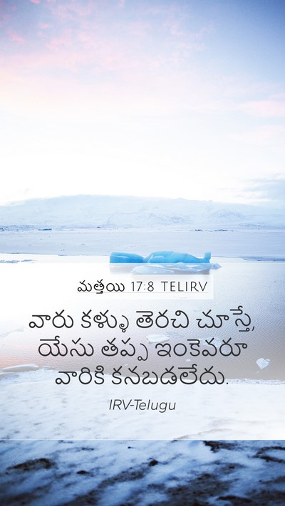 మత్తయి 17:8 TELIRV Mobile Phone Wallpaper - వారు కళ్ళు తెరచి - Mobile Bible Verse Wallpaper
