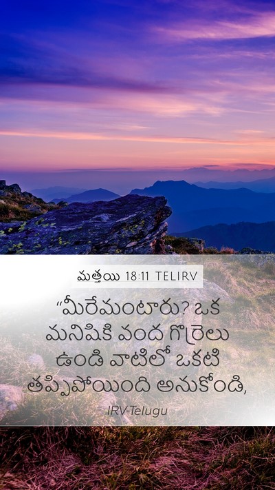 మత్తయి 18:11 TELIRV Mobile Phone Wallpaper - “మీరేమంటారు? ఒక - Mobile Bible Verse Wallpaper