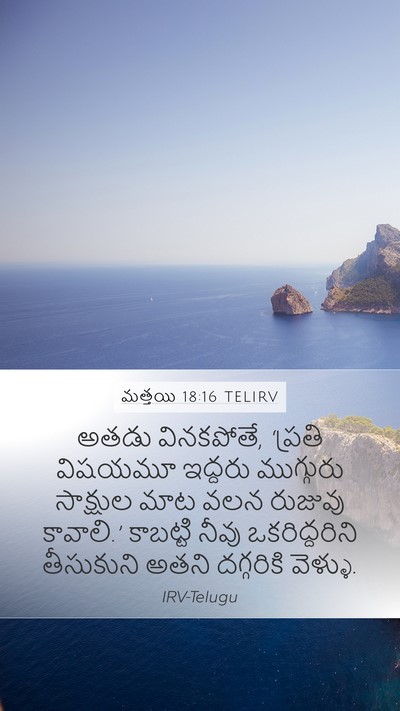 మత్తయి 18:16 TELIRV Bible Verse Image