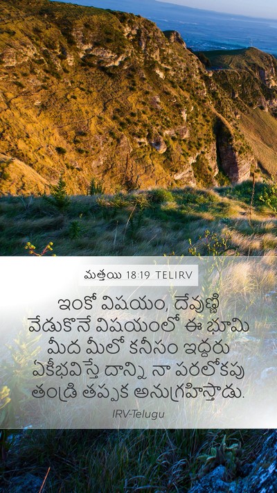 మత్తయి 18:19 TELIRV Bible Verse Image