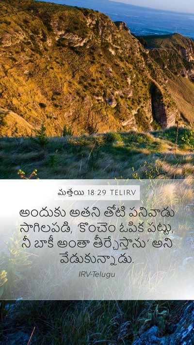 మత్తయి 18:29 TELIRV Bible Verse Image
