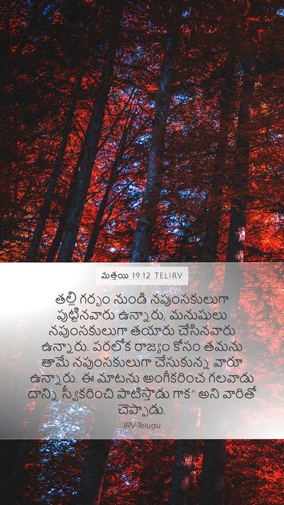 మత్తయి 19:12 TELIRV Mobile Phone Wallpaper - తల్లి గర్భం నుండి - Mobile Bible Verse Wallpaper