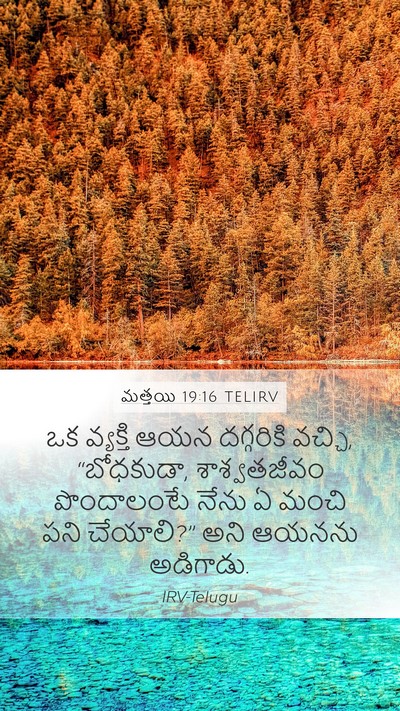 మత్తయి 19:16 TELIRV Mobile Phone Wallpaper - ఒక వ్యక్తి ఆయన - Mobile Bible Verse Wallpaper