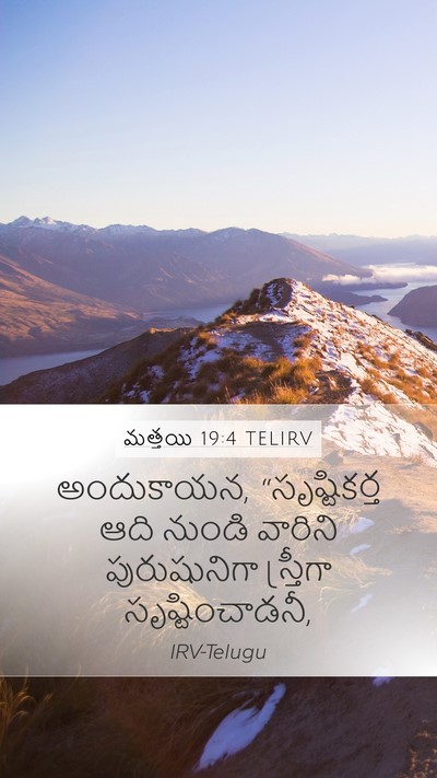 మత్తయి 19:4 TELIRV Bible Verse Image