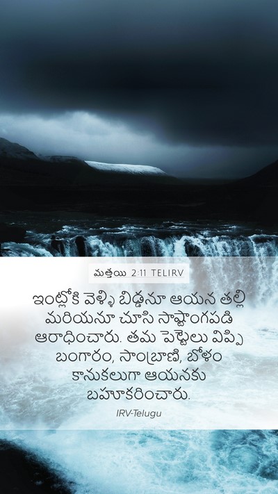 మత్తయి 2:11 TELIRV Bible Verse Image
