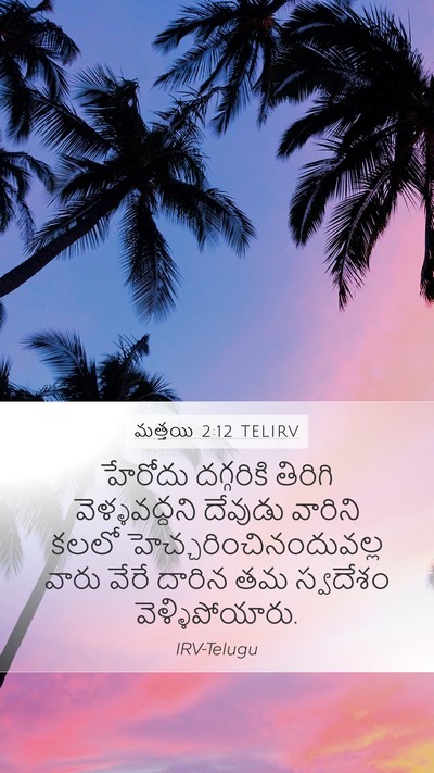 మత్తయి 2:12 TELIRV Bible Verse Image