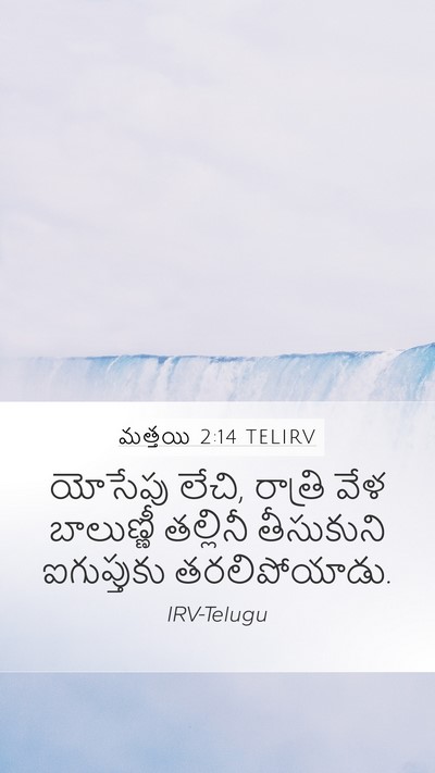 మత్తయి 2:14 TELIRV Mobile Phone Wallpaper - యోసేపు లేచి, - Mobile Bible Verse Wallpaper