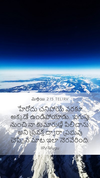 మత్తయి 2:15 TELIRV Mobile Phone Wallpaper - హేరోదు చనిపోయే - Mobile Bible Verse Wallpaper