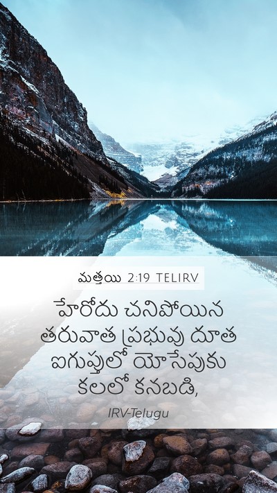 మత్తయి 2:19 TELIRV Bible Verse Image