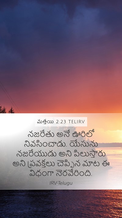 మత్తయి 2:23 TELIRV Bible Verse Image