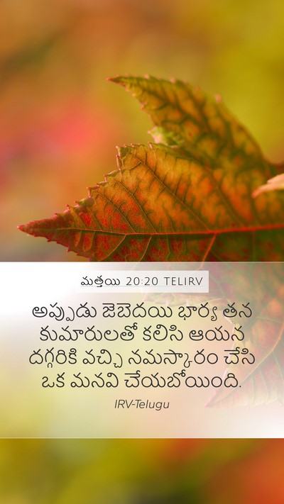 మత్తయి 20:20 TELIRV Bible Verse Image