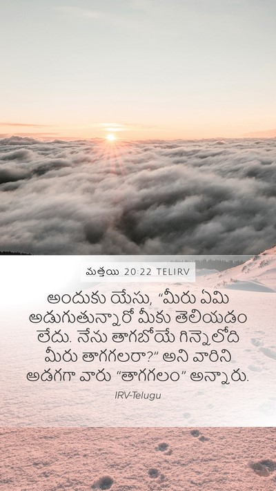 మత్తయి 20:22 TELIRV Bible Verse Image