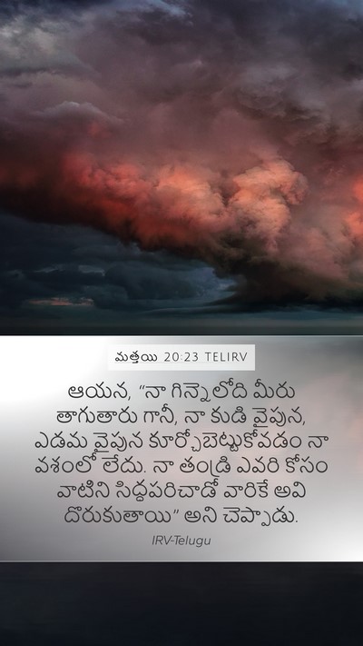 మత్తయి 20:23 TELIRV Bible Verse Image