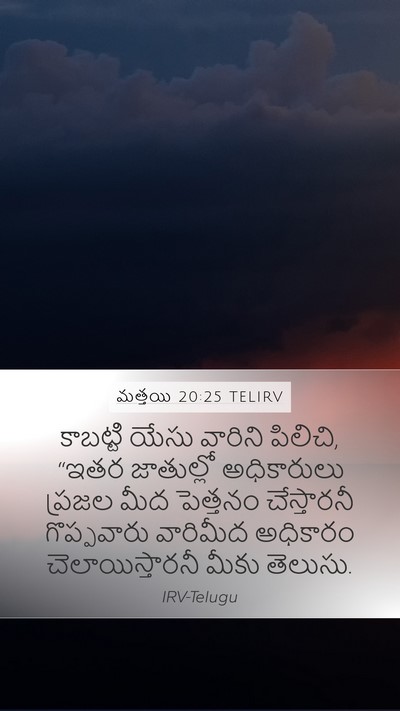 మత్తయి 20:25 TELIRV Bible Verse Image
