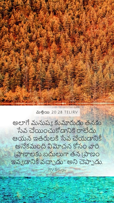 మత్తయి 20:28 TELIRV Bible Verse Image
