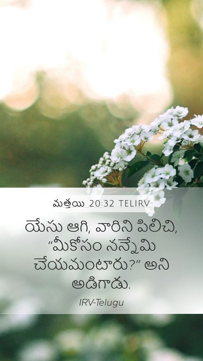 మత్తయి 20:32 TELIRV Bible Verse Image