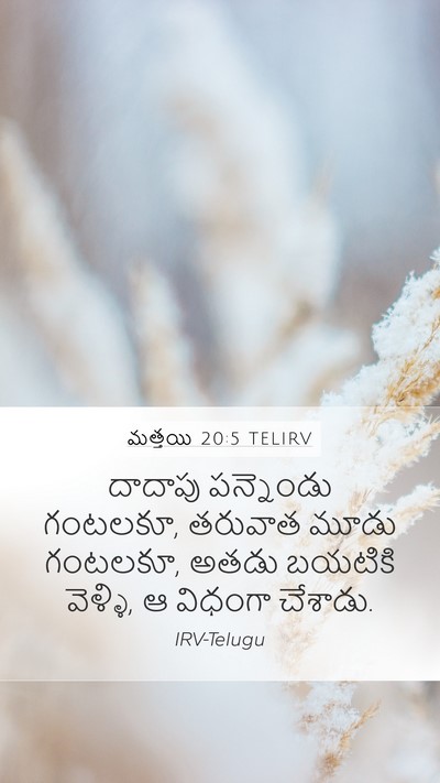 మత్తయి 20:5 TELIRV Mobile Phone Wallpaper - దాదాపు పన్నెండు - Mobile Bible Verse Wallpaper