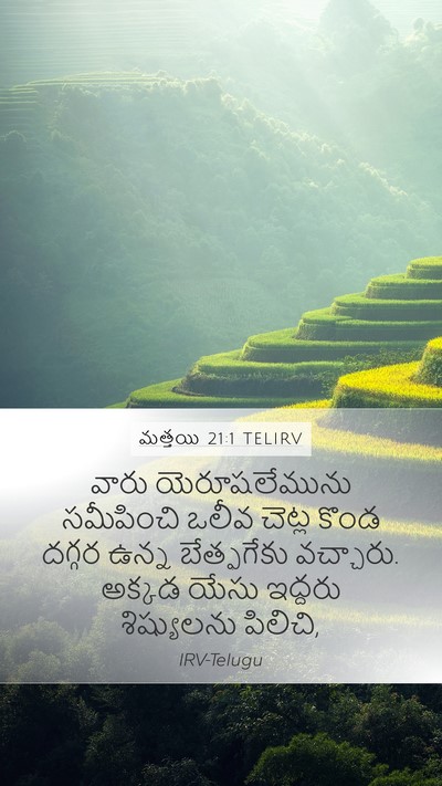 మత్తయి 21:1 TELIRV Bible Verse Image