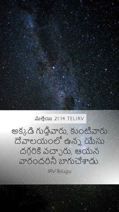 మత్తయి 21:14 TELIRV Bible Verse Image