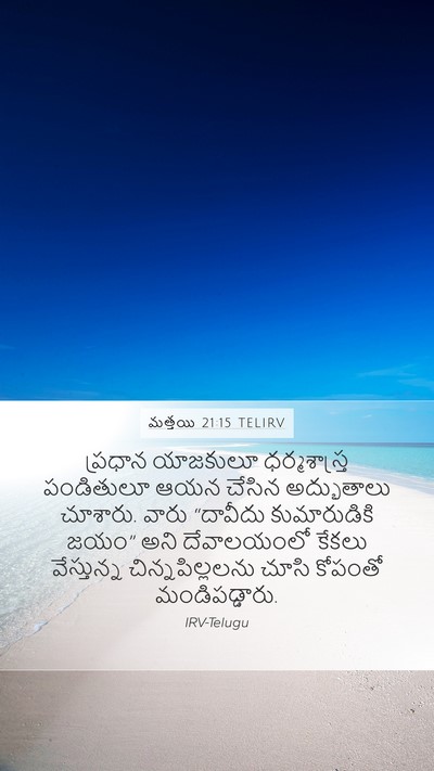మత్తయి 21:15 TELIRV Bible Verse Image