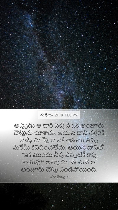 మత్తయి 21:19 TELIRV Bible Verse Image