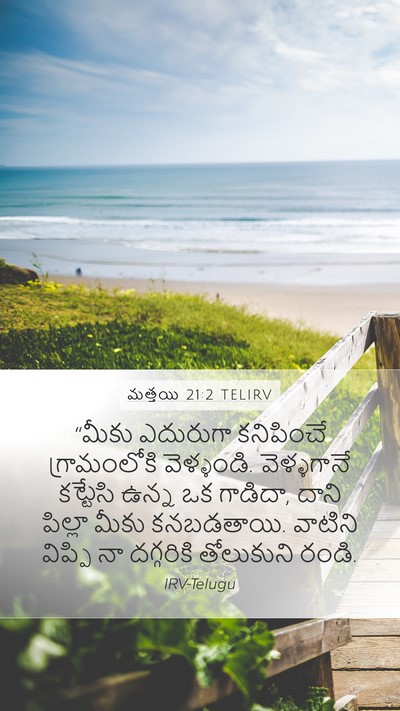 మత్తయి 21:2 TELIRV Mobile Phone Wallpaper - “మీకు ఎదురుగా - Mobile Bible Verse Wallpaper