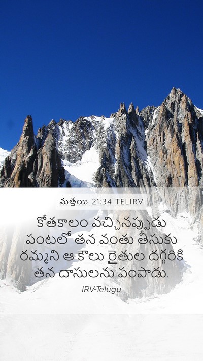 మత్తయి 21:34 TELIRV Bible Verse Image