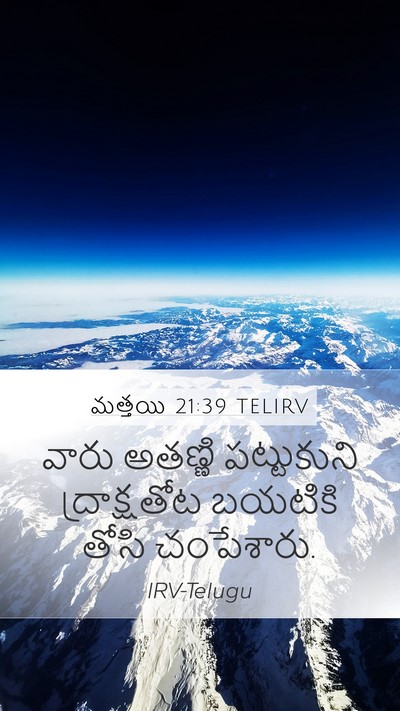 మత్తయి 21:39 TELIRV Mobile Phone Wallpaper - వారు అతణ్ణి - Mobile Bible Verse Wallpaper