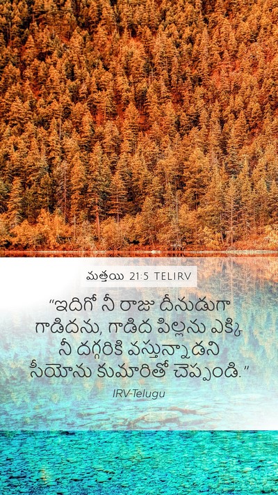 మత్తయి 21:5 TELIRV Bible Verse Image
