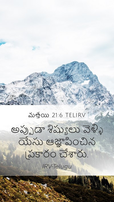 మత్తయి 21:6 TELIRV Bible Verse Image