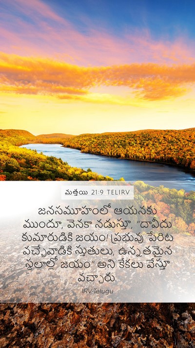 మత్తయి 21:9 TELIRV Bible Verse Image