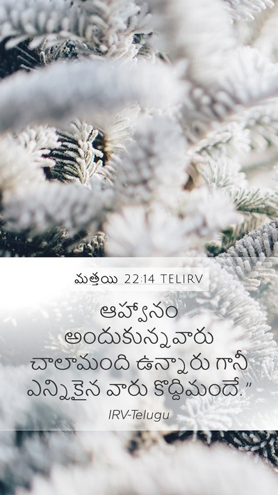 మత్తయి 22:14 TELIRV Bible Verse Image