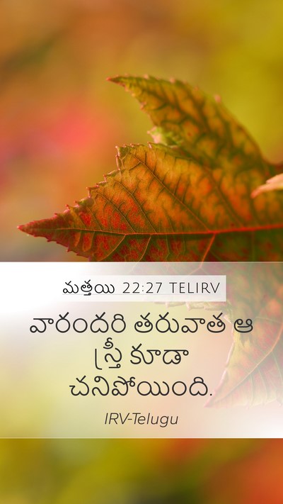 మత్తయి 22:27 TELIRV Mobile Phone Wallpaper - వారందరి తరువాత ఆ - Mobile Bible Verse Wallpaper