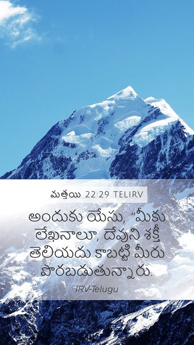 మత్తయి 22:29 TELIRV Bible Verse Image