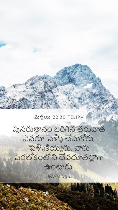 మత్తయి 22:30 TELIRV Bible Verse Image