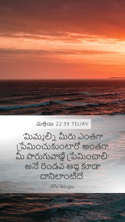 మత్తయి 22:39 TELIRV Bible Verse Image