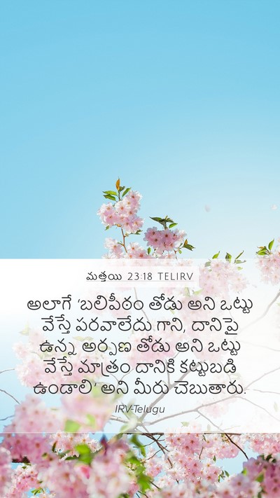 మత్తయి 23:18 TELIRV Bible Verse Image