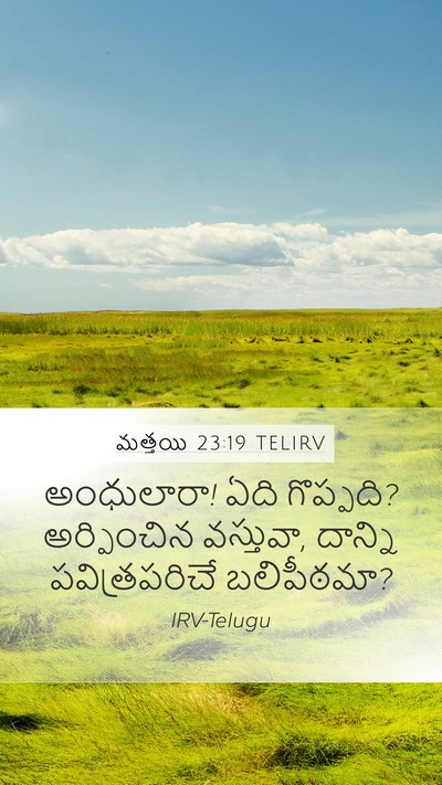 మత్తయి 23:19 TELIRV Bible Verse Image