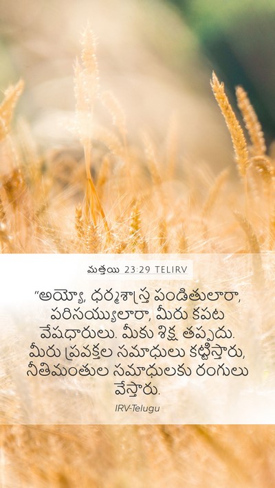 మత్తయి 23:29 TELIRV Bible Verse Image
