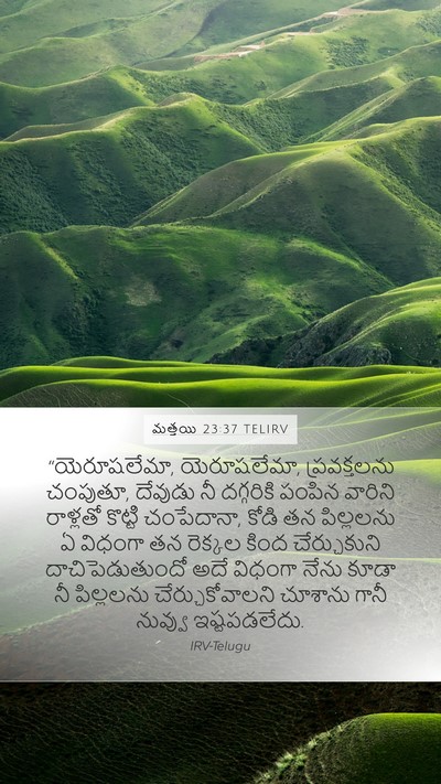 మత్తయి 23:37 TELIRV Bible Verse Image