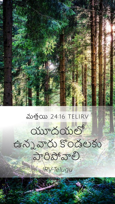 మత్తయి 24:16 TELIRV Mobile Phone Wallpaper - యూదయలో ఉన్నవారు - Mobile Bible Verse Wallpaper