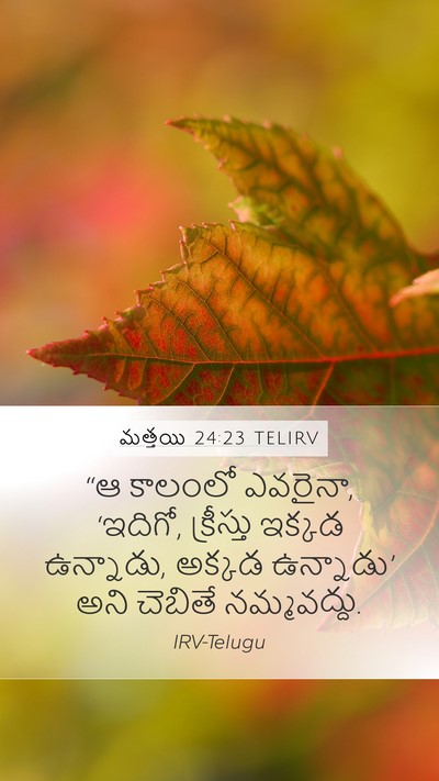 మత్తయి 24:23 TELIRV Bible Verse Image
