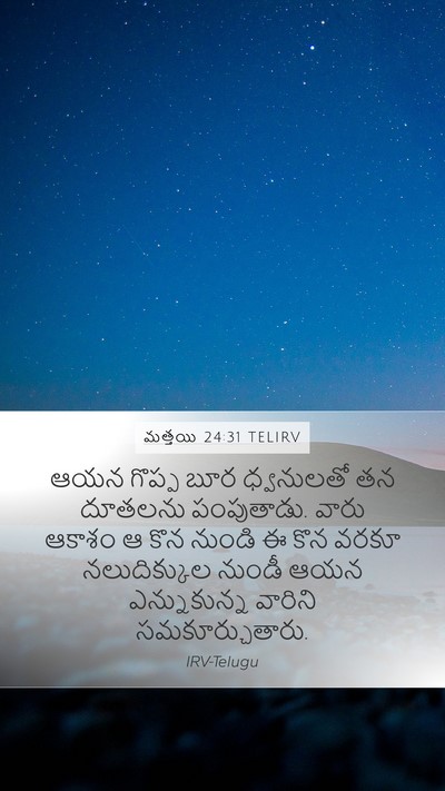 మత్తయి 24:31 TELIRV Bible Verse Image
