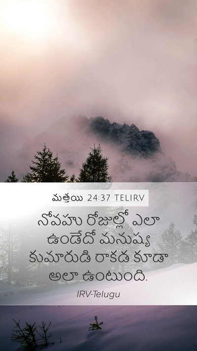 మత్తయి 24:37 TELIRV Bible Verse Image