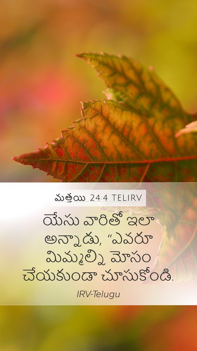 మత్తయి 24:4 TELIRV Mobile Phone Wallpaper - యేసు వారితో ఇలా - Mobile Bible Verse Wallpaper