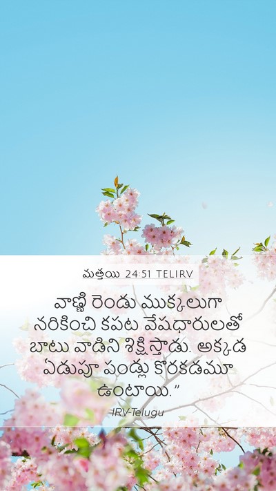 మత్తయి 24:51 TELIRV Mobile Phone Wallpaper - వాణ్ణి రెండు - Mobile Bible Verse Wallpaper