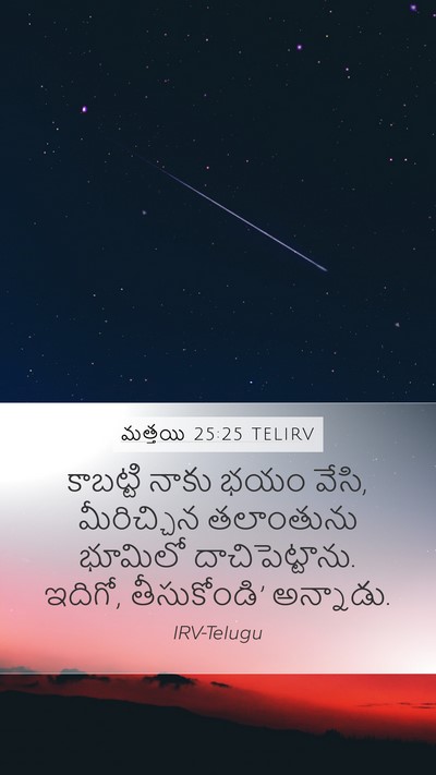మత్తయి 25:25 TELIRV Mobile Phone Wallpaper - కాబట్టి నాకు భయం - Mobile Bible Verse Wallpaper